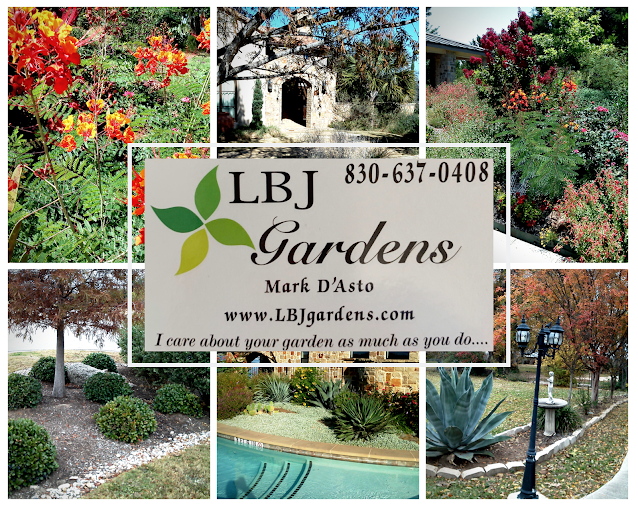 LBJ Gardens branded image featuring colorful residential garden care around Lake LBJ, Texas