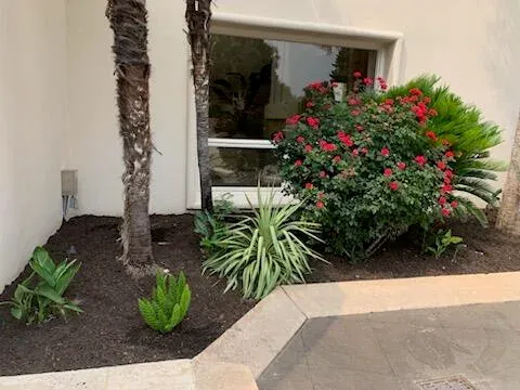 Foundation garden maintenance cared for by LBJ Gardens at a residential property in Kingsland, Texas near Lake LBJ