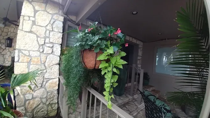 Hanging flower basket cared for by LBJ Gardens at a residential property in Kingsland, Texas near Lake LBJ