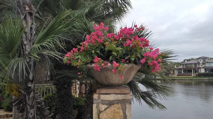 Lakeside flower container cared for by LBJ Gardens at a residential property in Kingsland, Texas near Lake LBJ