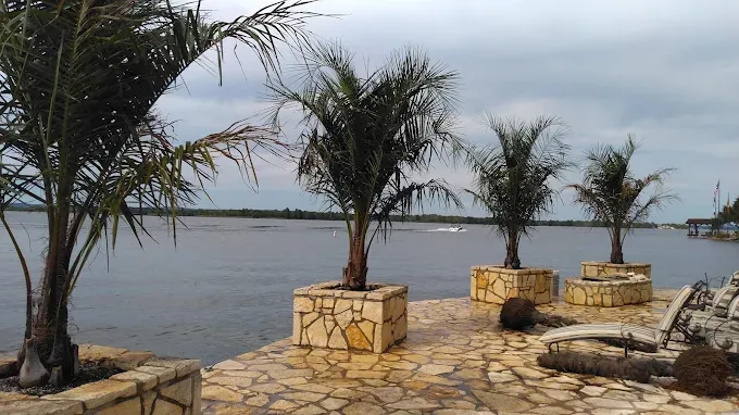 Lakeside palm planting cared for by LBJ Gardens at a residential property in Kingsland, Texas near Lake LBJ