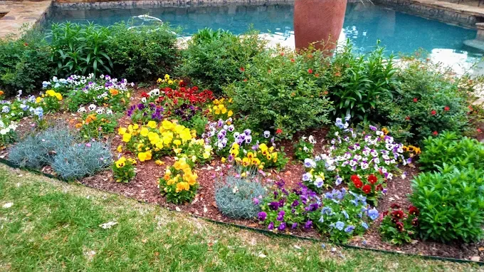 Multicolor pool garden cared for by LBJ Gardens at a residential property in Kingsland, Texas near Lake LBJ