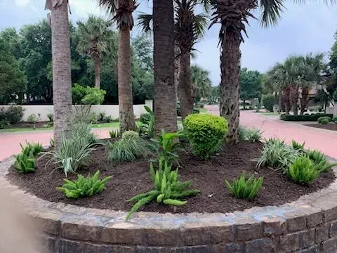 Palm succulent landscape cared for by LBJ Gardens at a residential property in Kingsland, Texas near Lake LBJ
