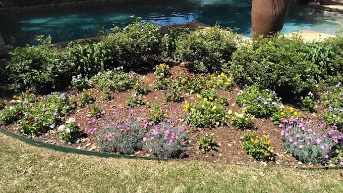 Poolside flower bed cared for by LBJ Gardens at a residential property in Kingsland, Texas near Lake LBJ