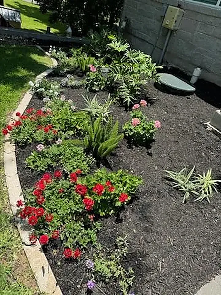 Seasonal flower planting cared for by LBJ Gardens at a residential property in Kingsland, Texas near Lake LBJ