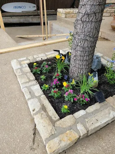 Tree ring flower bed cared for by LBJ Gardens at a residential property in Kingsland, Texas near Lake LBJ